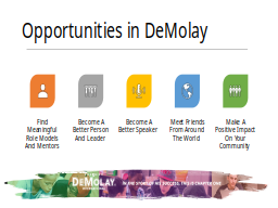 Opportunities in DeMolay